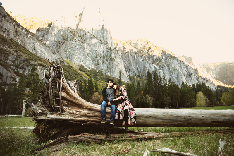 Yosemite Family Photographer, Engagement Photographer, couple sitting and embracing each other on a large tree stump in love